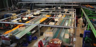 La Generalitat apuesta por el cooperativismo en las tres provincias valencianas