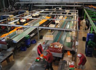 La Generalitat apuesta por el cooperativismo en las tres provincias valencianas