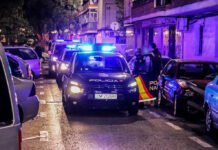 La Policía Nacional ha detenido en Torrevieja a un prófugo de la Justicia argentina buscado por un delito de tráfico de drogas