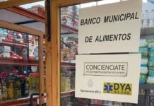 El Ayuntamiento de Elche junto a la asociación Conciénciate y DYA recogen 14 toneladas de alimentos para los más desfavorecidos
