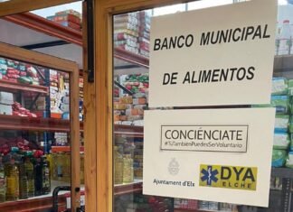 El Ayuntamiento de Elche junto a la asociación Conciénciate y DYA recogen 14 toneladas de alimentos para los más desfavorecidos