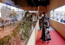 Díaz Ayuso inaugura el Belén de la Puerta del Sol, con homenaje a los sanitarios madrileños