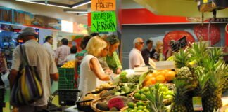 La gestión automatizada de las ayudas a autónomos de la Junta de Andalucía supondrá un ahorro de 1.300.000 euros