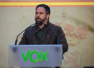 Vox logra concentrar a docenas de miles de personas en toda España contra un gobierno «traidor» y en favor de la Constitución española