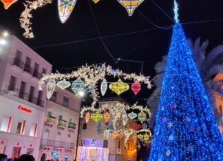 Elche vivirá la Navidad 2020 con alegría y color en sus calles y plazas nunca vistos antes