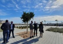 Alicante completa su fachada marítima con Benalúa Sur