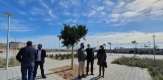 Alicante completa su fachada marítima con Benalúa Sur