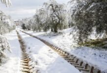 Agricultores y ganaderos de la provincia de Madrid estiman en 46 millones de euros las pérdidas tras el paso de la borrasca Filomena