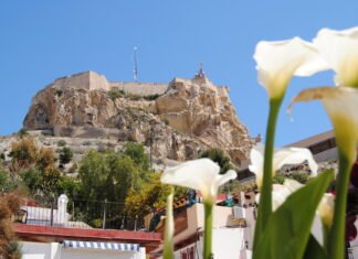 El Ayuntamiento de Alicante realizará reparto gratuito de mascarillas entre mayores de 65 años a partir del lunes 11 de enero