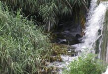 Murcia destinará 1,5 millones para redotar a las comunidades de regantes con aguas regeneradas de estaciones depuradoras