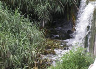 Murcia destinará 1,5 millones para redotar a las comunidades de regantes con aguas regeneradas de estaciones depuradoras