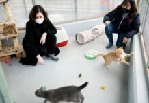 Díaz Ayuso anuncia el adelanto de las ayudas de 2021 para fomentar la protección de animales