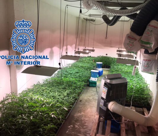 La Policía Nacional desarticula un grupo criminal dedicado a la plantación, cultivo y distribución de marihuana a nivel nacional e internacional