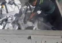 Rescatado en el puerto de Melilla una persona enterrada dentro de un saco que contenía cenizas volantes tóxicas procedentes de una incineradora