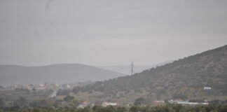 Castilla-La Mancha será pionera en España con una nueva línea de ayudas para ganaderos de bovino de carne en extensivo dotada con 12 millones de euros