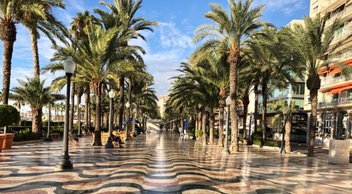 El Ayuntamiento de Alicante abre mañana la cita previa para solicitar las ayudas del Plan Resistir