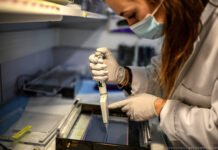 Variantes del coronavirus: situación actual e impacto en la vacunación de la UE