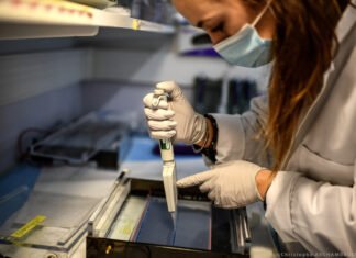 Variantes del coronavirus: situación actual e impacto en la vacunación de la UE