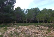 Madrid destina más de tres millones para acondicionar zonas verdes y forestales de Canal de Isabel II