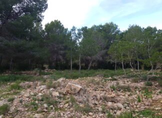 Madrid destina más de tres millones para acondicionar zonas verdes y forestales de Canal de Isabel II