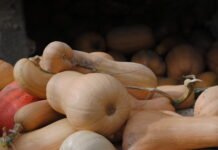 Más de 1.600 agricultores de Murcia se beneficiarán de la nueva convocatoria de ayudas de agroambiente y clima dotada con 8 millones de euros