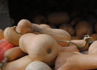 Más de 1.600 agricultores de Murcia se beneficiarán de la nueva convocatoria de ayudas de agroambiente y clima dotada con 8 millones de euros