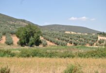 Castilla-La Mancha convoca el Premio Regional de Medio Ambiente 2021