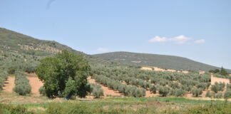 Castilla-La Mancha convoca el Premio Regional de Medio Ambiente 2021