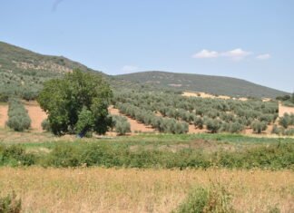 Castilla-La Mancha convoca el Premio Regional de Medio Ambiente 2021