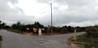 El Consell aprueba la declaración de emergencia para la reparación de daños en caminos rurales de 28 municipios de Alicante