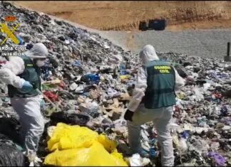 La Guardia Civil investigó más de 3900 delitos contra el medio ambiente durante el 2020