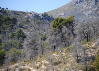 Emergencia Climática destina 3.100.000 euros a la construcción y mantenimiento de depósitos de agua para la extinción de incendios forestales en 2021