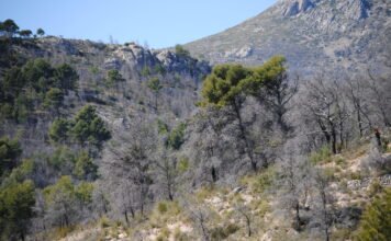Emergencia Climática destina 3.100.000 euros a la construcción y mantenimiento de depósitos de agua para la extinción de incendios forestales en 2021