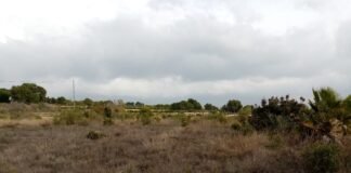 El I Plan Valenciano de Agricultura Ecológica cierra el período 2016-2020 con 78 millones de euros de inversión