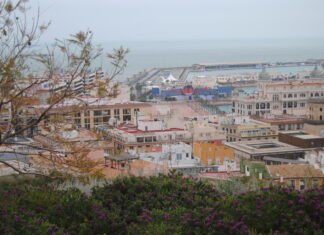 La Media Maratón Internacional reunirá en Alicante más de 2.200 atletas llegados desde el extranjero