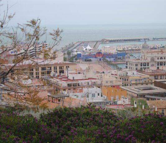 La Media Maratón Internacional reunirá en Alicante más de 2.200 atletas llegados desde el extranjero