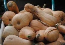 Los agricultores valencianos podrán optar a ayudas para sus seguros agrarios por un montante global de 28.500.000 euros