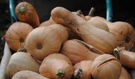 Los agricultores valencianos podrán optar a ayudas para sus seguros agrarios por un montante global de 28.500.000 euros