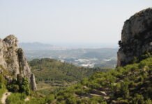 Agricultura desarrolla un proyecto para fomentar el regadío en las comarcas valencianas más castigadas por la Xylella y potenciar las expectativas de los cultivos