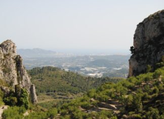 Agricultura desarrolla un proyecto para fomentar el regadío en las comarcas valencianas más castigadas por la Xylella y potenciar las expectativas de los cultivos