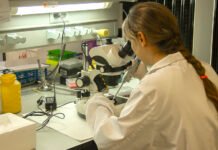 La Junta de Andalucía convoca ayudas por 15.360.000 euros para la contratación y formación de 150 investigadores