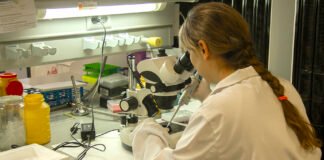 La Junta de Andalucía convoca ayudas por 15.360.000 euros para la contratación y formación de 150 investigadores