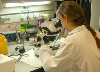 La Junta de Andalucía convoca ayudas por 15.360.000 euros para la contratación y formación de 150 investigadores