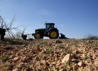Castilla-La Mancha abona “antes que nunca” 40.000.000 de euros en ayudas agroambientales para la agricultura y ganadería ecológica