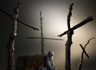 El Concurso Internacional de Fotografía Alicante llega a 48 países y recibe 3.613 imágenes