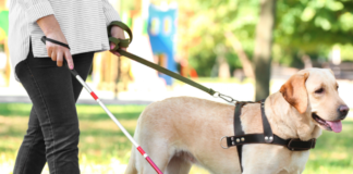 El Gobierno de Castilla-La Mancha y la ONCE colaboran en la atención de las personas sordociegas de la región