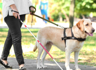 El Gobierno de Castilla-La Mancha y la ONCE colaboran en la atención de las personas sordociegas de la región