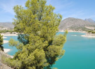 La Comunidad de Murcia pone en marcha una campaña de concienciación sobre el uso correcto del agua para posibilitar su regeneración y reutilización