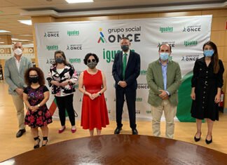 Los trabajadores sanitarios, UNEI, ‘Diario Sur’, el Cooltural Fest de Almería y Ana Bella, Premios Solidarios ONCE Andalucía 2021