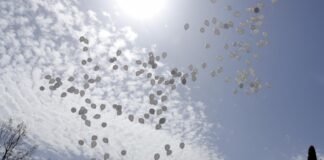 Madrid ha aprobado hoy 300.000 euros para la convocatoria de subvenciones a las asociaciones de víctimas del terrorismo